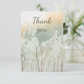 Danke schön Weiß Garten Blume (Stehend Vorderseite)