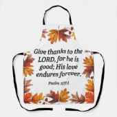 Danke Schürze (Vorderseite)