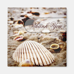 Danke Seashells-Strand-Magnet Magnet