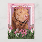 Danke - Shar Pei - Glücklich Postkarte (Vorderseite)