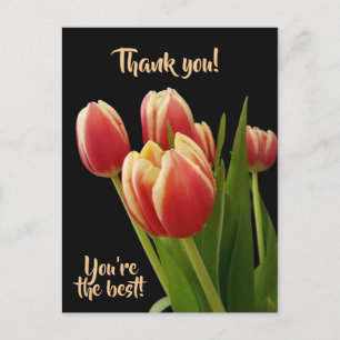 Danke, Sie sind die beste Postkarte mit Tulpen
