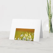 Danke, Snowdropps Blume Dankeskarte (Rückseite)