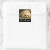 Danke Spitz Puppy Docking Stickers / Labels (Tasche)