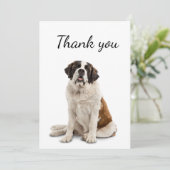 Danke St. Bernard Dog Pet Animal (Stehend Vorderseite)