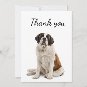 Danke St. Bernard Dog Pet Animal