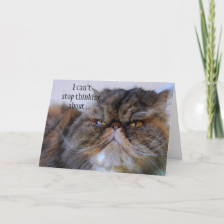 Danke stolzer Kaliko-persische Miezekatze-Karte