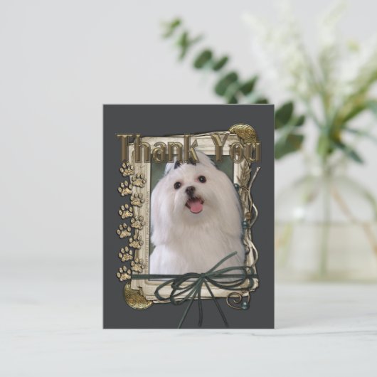 Danke - Stone Paws - Maltesisch Postkarte (Stehend Vorderseite)