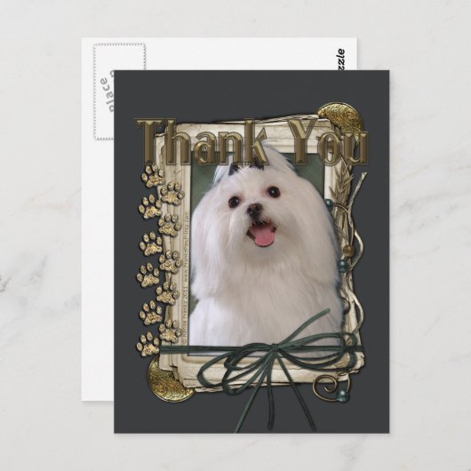 Danke - Stone Paws - Maltesisch Postkarte (Vorne/Hinten)