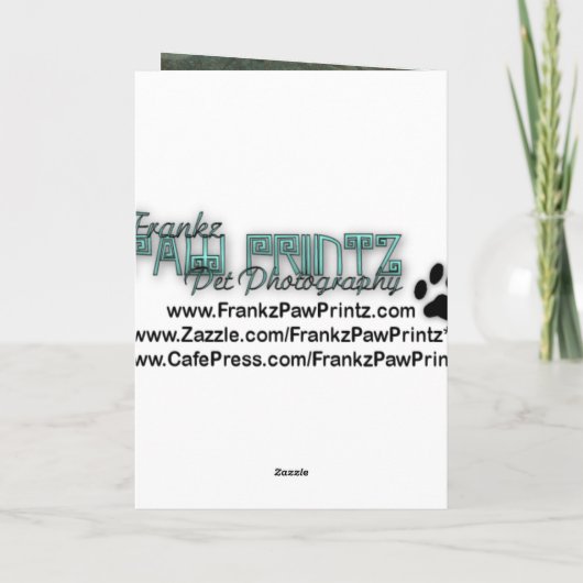 Danke - Stone Paws - Schnauzer (Rückseite)