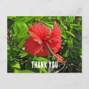 Danke Tropische Blume Helles Rosa Floral Postkarte
