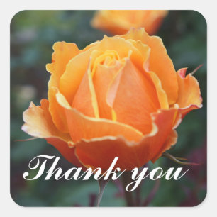 Danke über Face Rose #1 Stickers