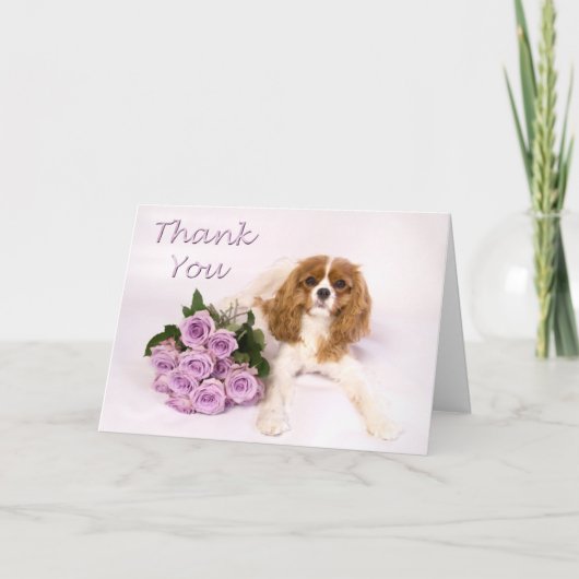 Danke unbekümmerte Königcharles Spaniel-Rosen (Vorderseite)