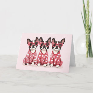 Danke Valentinstag Boston Terrier Dogs