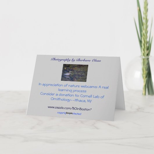 Danke Vater: (Rückseite)