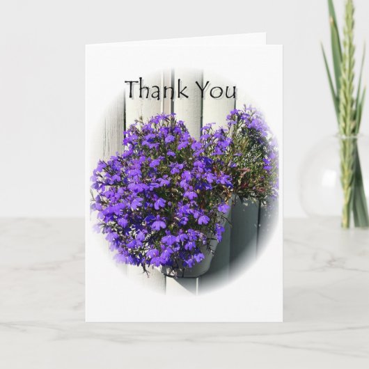 Danke Verbena (Vorderseite)