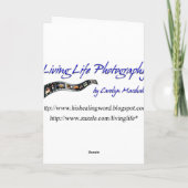 Danke Veteran (Rückseite)