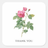 Danke Vintag Pink Rose Botanical Quadratischer Aufkleber (Vorderseite)