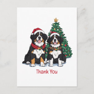 Danke Weihnachten Berner Sennenhunde Postkarte