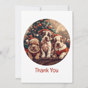 Danke Weihnachten Pit Bull Welpen Hunde