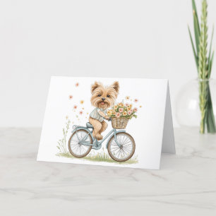 Danke Yorkie Dog Biking Spring Flowers