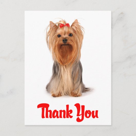 Danke Yorkshire Terrier Puppy Dog Postcard Postkarte (Vorderseite)
