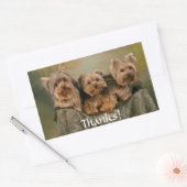Danke Yorkshire Terrier Puppy Hogs Sticker (Umschlag)