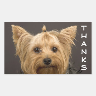 Danke Yorkshire Terrier Welpe Hund Aufkleber
