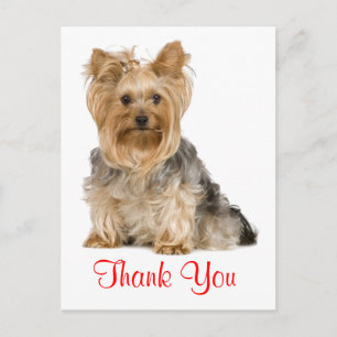 Danke Yorkshire Terrier Welpen-Hund Postkarte