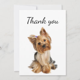 Danke Yorkshire Terrier Yorkie Dog Pet Animal
