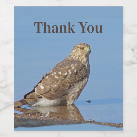 Danke Young Hawk Beautiful Wild Raptor Bird Weinetikett (Einzelnes Label)