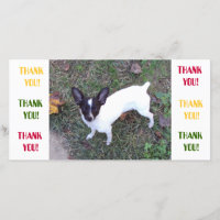 Danke zu kardieren