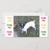 Danke zu kardieren (Vorderseite)