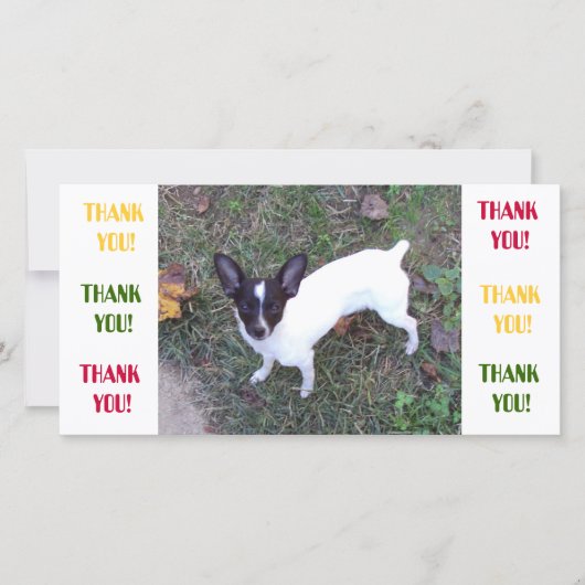 Danke zu kardieren (Vorderseite)