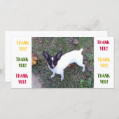 Danke zu kardieren (Vorne/Hinten)