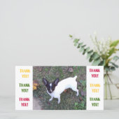 Danke zu kardieren (Stehend Vorderseite)