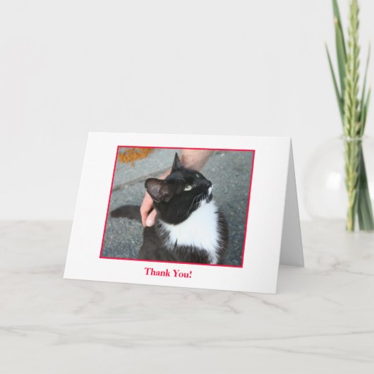 Danke zu kardieren, nach innen zu löschen (Vorderseite)