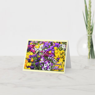 Danke zu kardieren--Stiefmütterchen