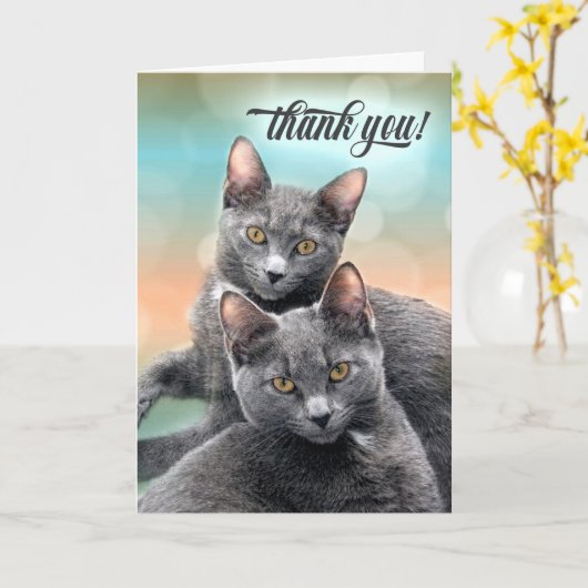 Danke zwei graue Katzen Karte (Gelbe Blume)