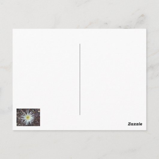 DANKEN SIE KARTE (Rückseite)