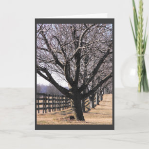 Danken Sie unseren Veteranen 6 Feiertagskarte