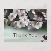 Dankeschön an Kartenplum-Blume Postkarte (Vorderseite)