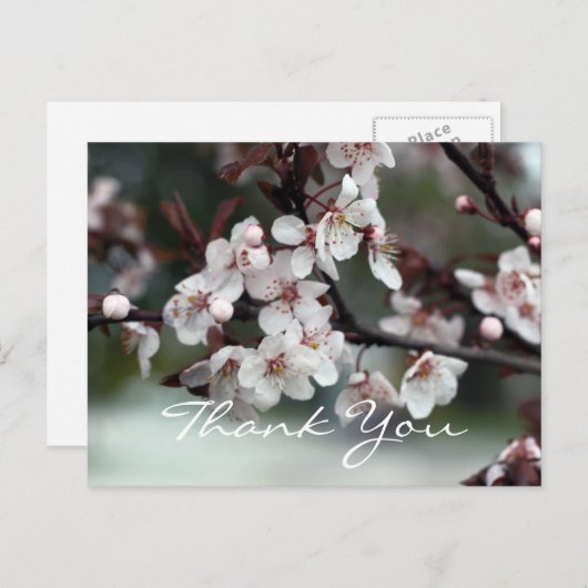 Dankeschön an Kartenplum-Blume Postkarte (Vorne/Hinten)