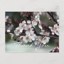 Dankeschön an Kartenplum-Blume Postkarte