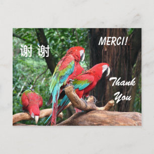Dankeschön auf Englisch/Französisch/Chinesisch Postkarte