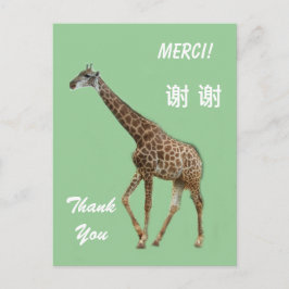 Dankeschön auf Englisch/Französisch/Chinesisch Postkarte