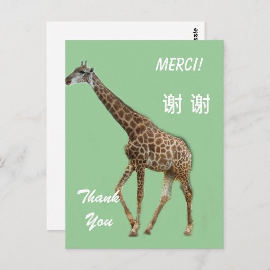 Dankeschön auf Englisch/Französisch/Chinesisch Postkarte (Vorne/Hinten)