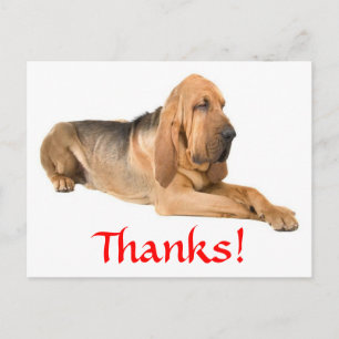Dankeschön-Bluthund-Hunde-Grußpostkarte Postkarte