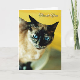 Dankeschön Card mit der farbenfrohen siamesischen  Dankeskarte