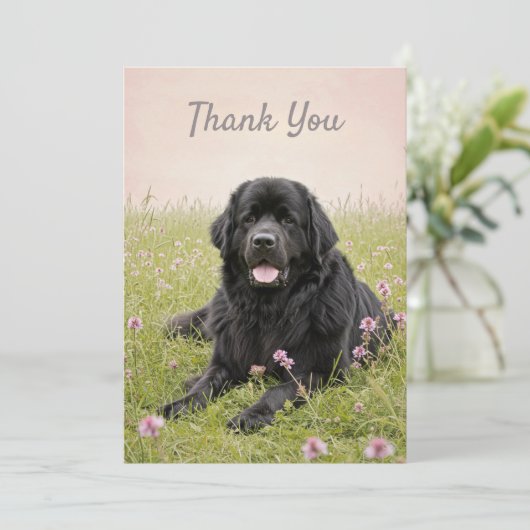 Dankeschön Card mit einem neugründlichen Hund Einladung (Stehend Vorderseite)