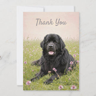 Dankeschön Card mit einem neugründlichen Hund Einladung